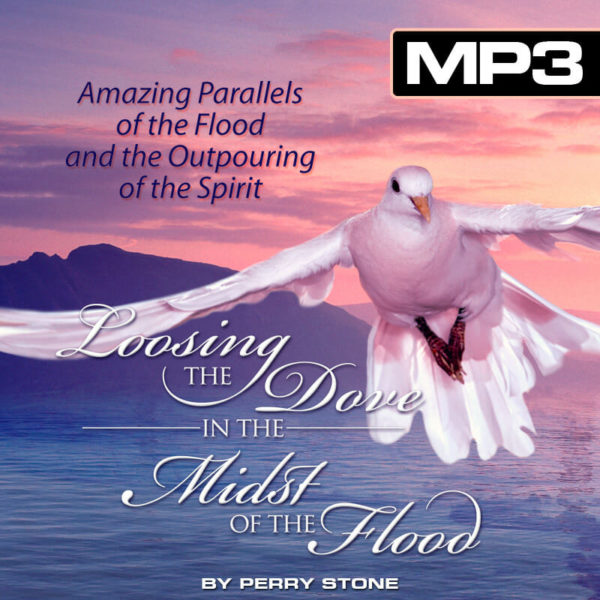 DLCD024 MP3 Loosing the Dove in the Midst of the Storm-0