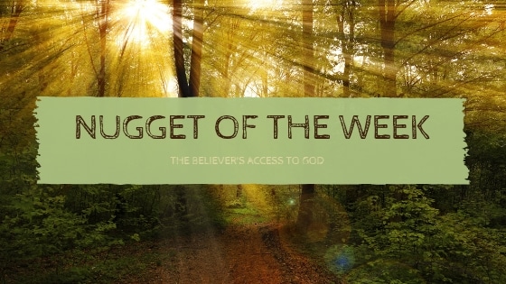 Nugget of the Week April 22nd