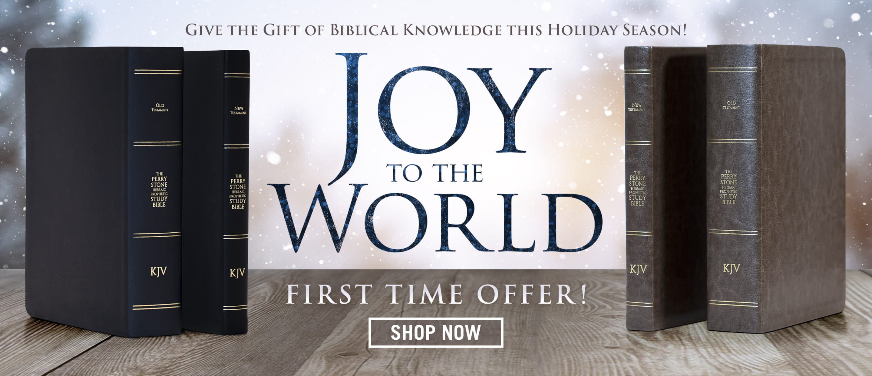 Perry stone ministries