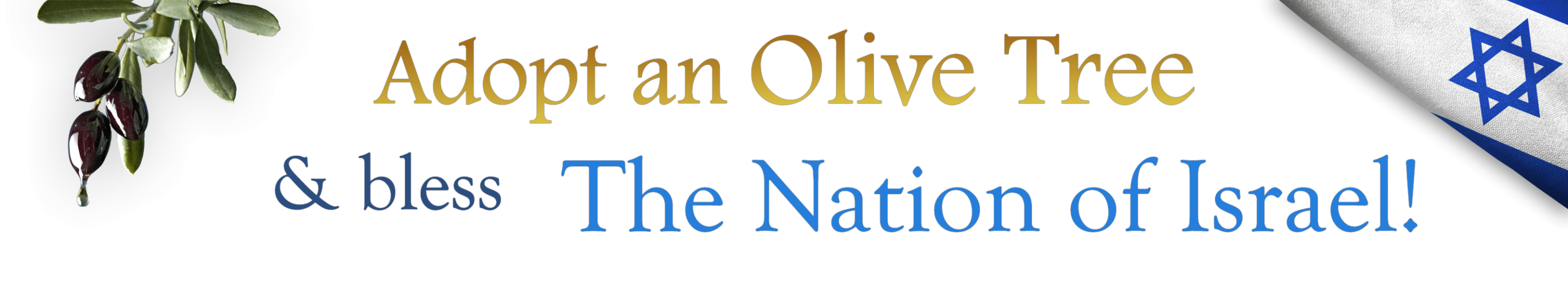 Shalom Israel - Olive Tree Ministries